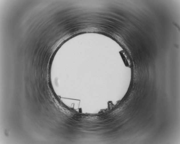 X0000102470845200809051331