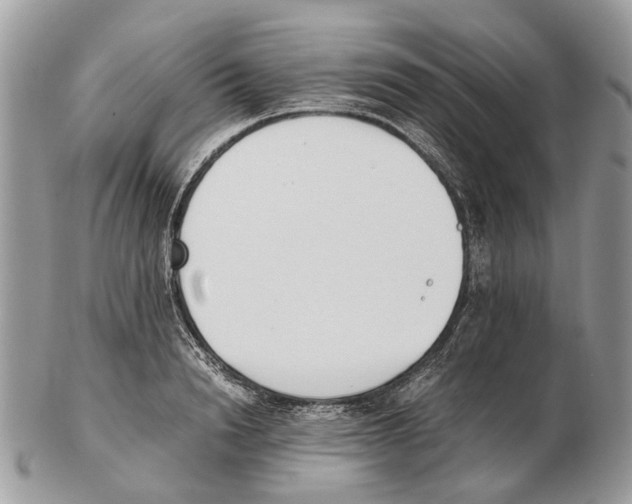 X0000102470846200809051331