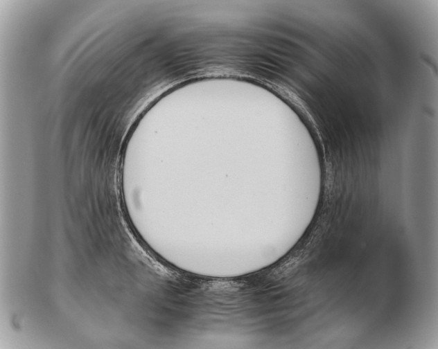 X0000102470847200809051331