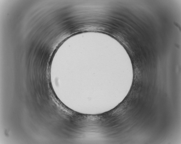 X0000102470848200809051331