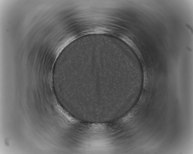 X0000102470850200809051331