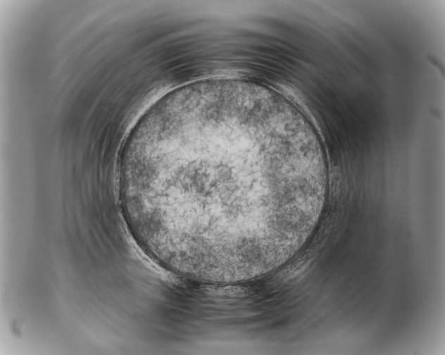 X0000102470851200809051331