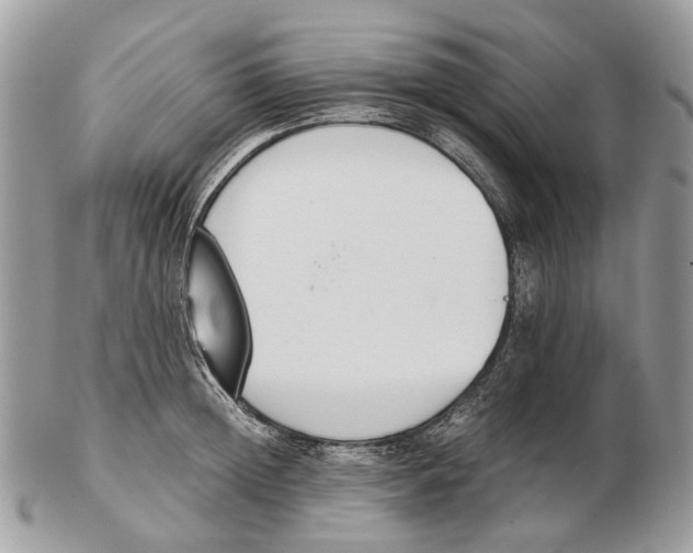 X0000102470852200809051331