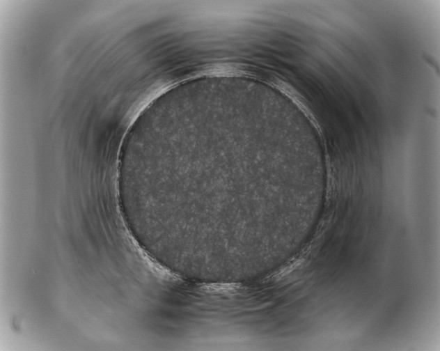 X0000102470853200809051331