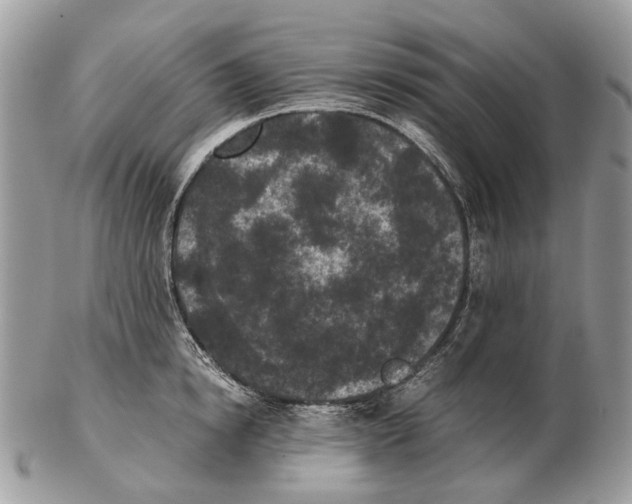 X0000102470854200809051331
