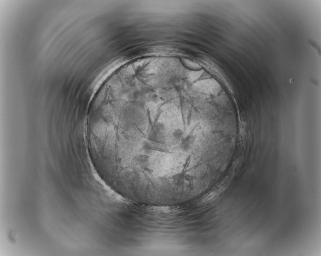 X0000102470855200809051331