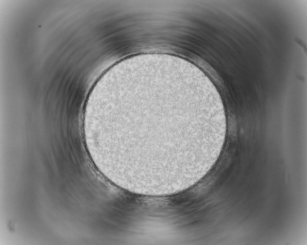 X0000102470856200809051331