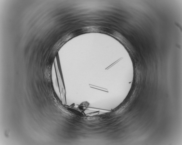 X0000102470857200809051331