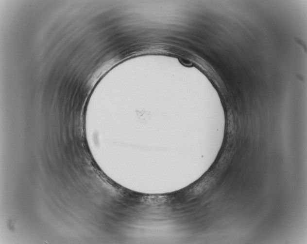X0000102470858200809051331