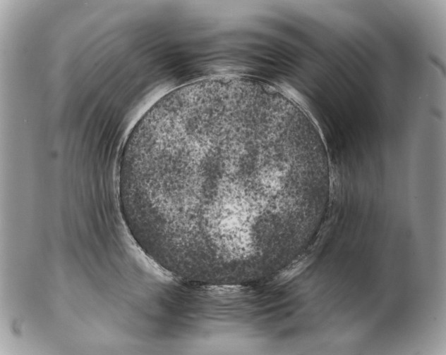 X0000102470859200809051331