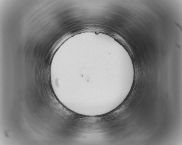 X0000102470860200809051331