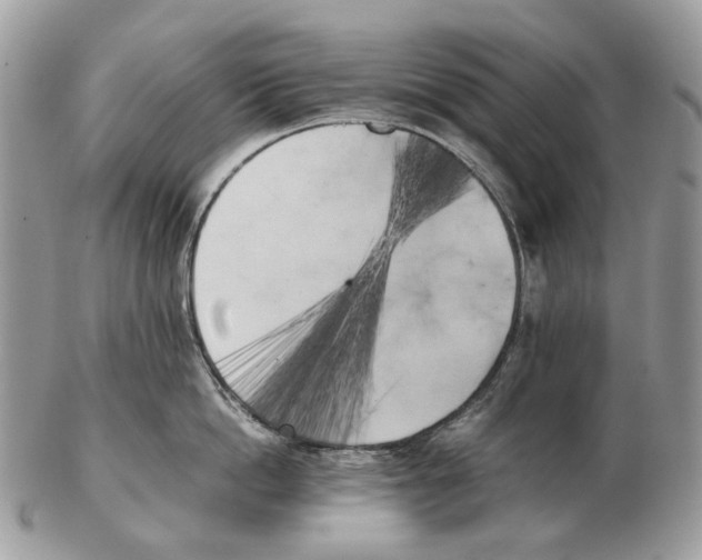 X0000102470862200809051331