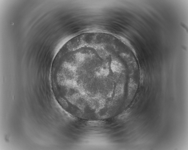 X0000102470863200809051331