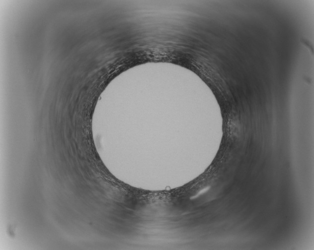 X0000102470865200809051331