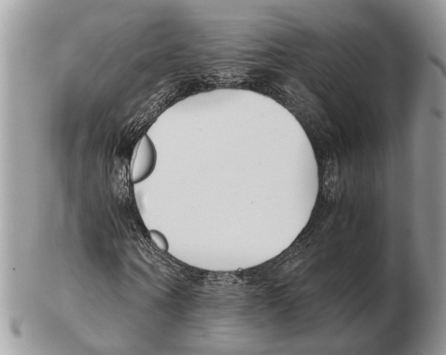 X0000102470866200809051331