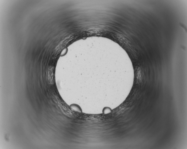 X0000102470868200809051331