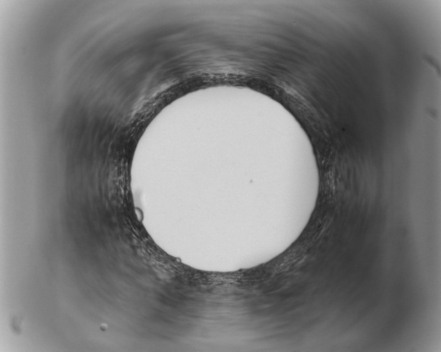 X0000102470870200809051331