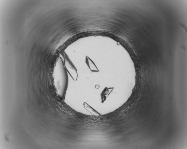 X0000102470871200809051331