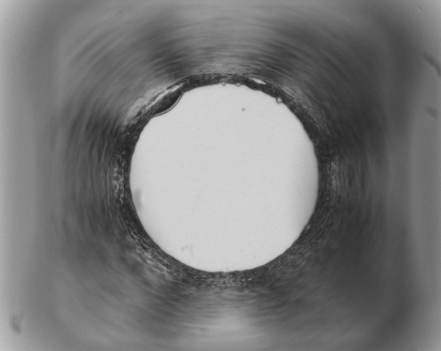X0000102470872200809051331
