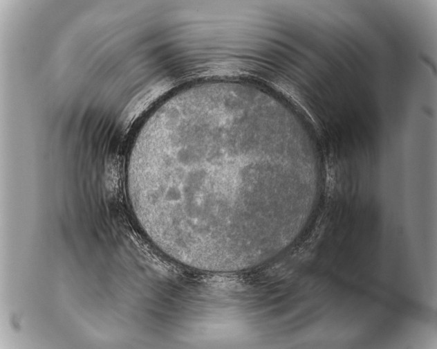X0000102470874200809051331