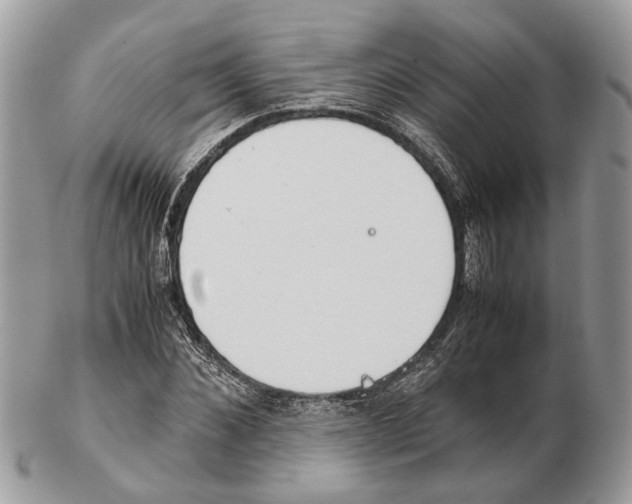 X0000102470876200809051331
