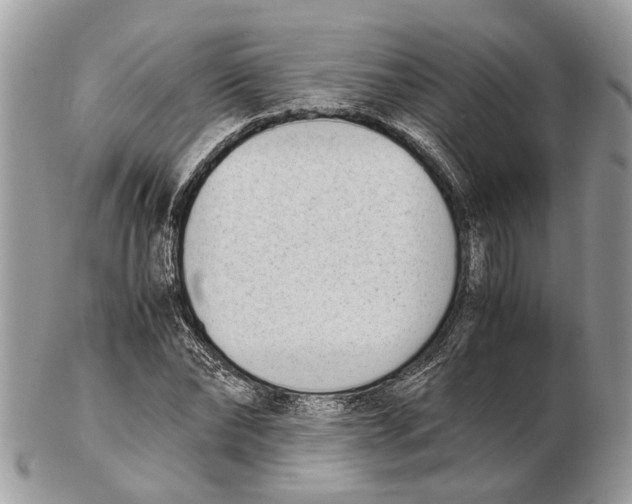 X0000102470878200809051331