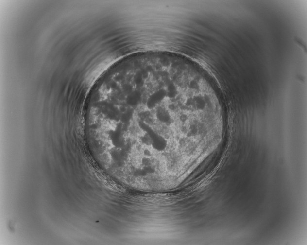X0000102470879200809051331