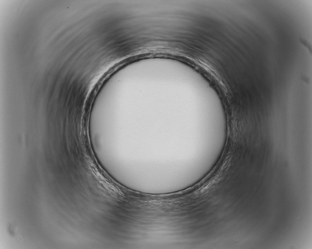 X0000102470880200809051331