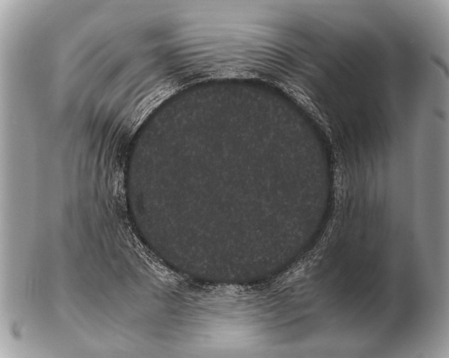 X0000102470881200809051331