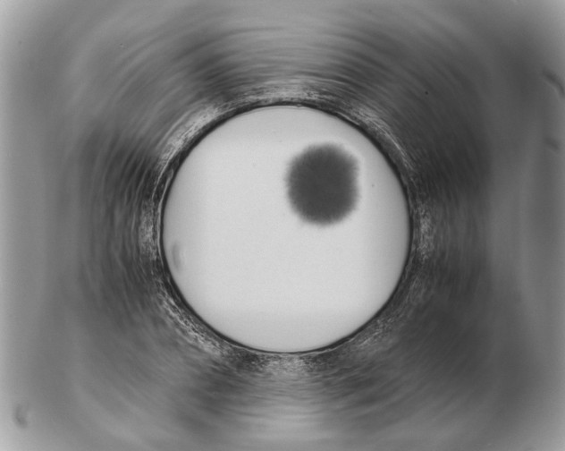 X0000102470882200809051331