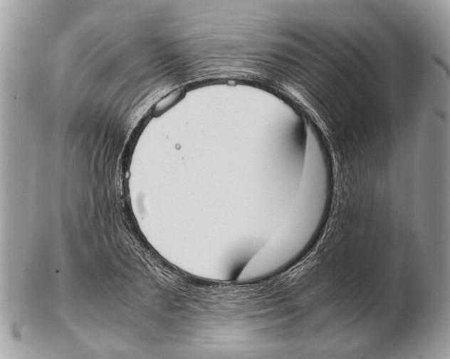 X0000102470883200809051331