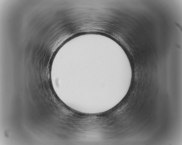 X0000102470885200809051330