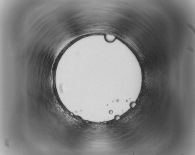 X0000102470888200809051330