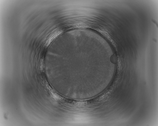 X0000102470889200809051330