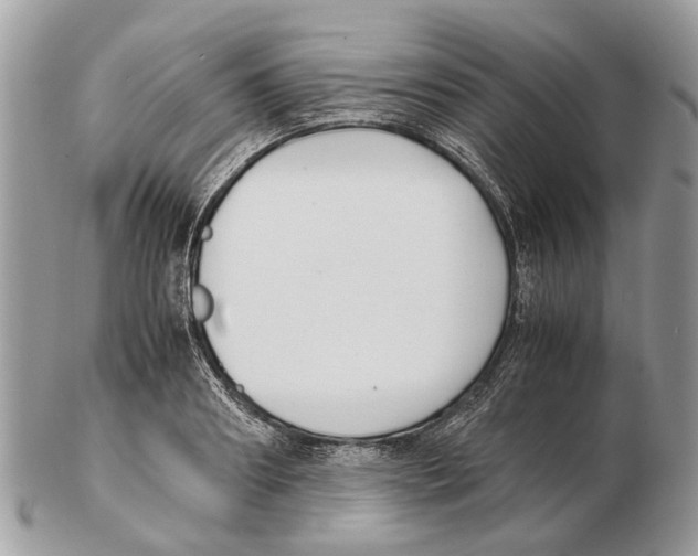 X0000102470890200809051330