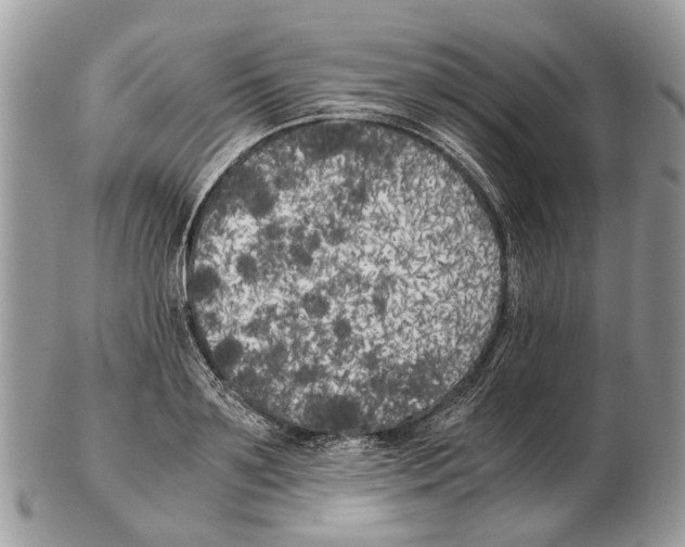 X0000102470891200809051330