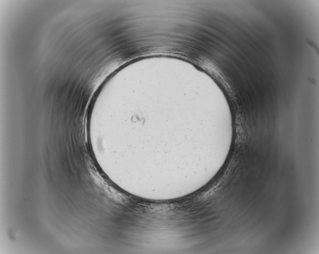 X0000102470892200809051330