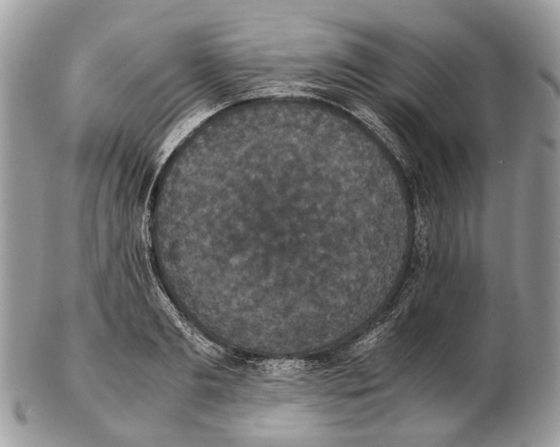 X0000102470893200809051330