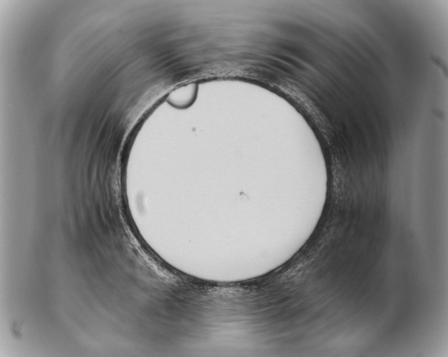 X0000102470894200809051330