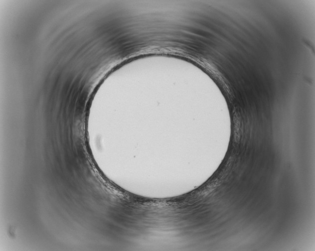 X0000102470896200809051330