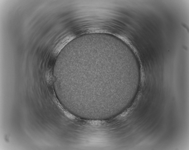 X0000102470897200809051330