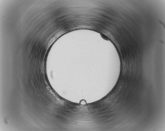 X0000102470898200809051330