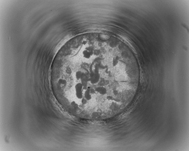 X0000102470899200809051330