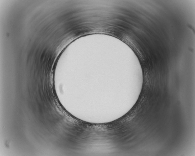 X0000102470900200809051330