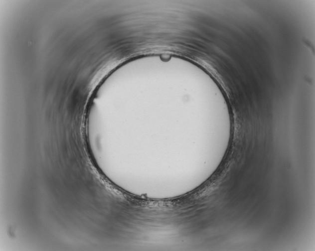 X0000102470901200809051330