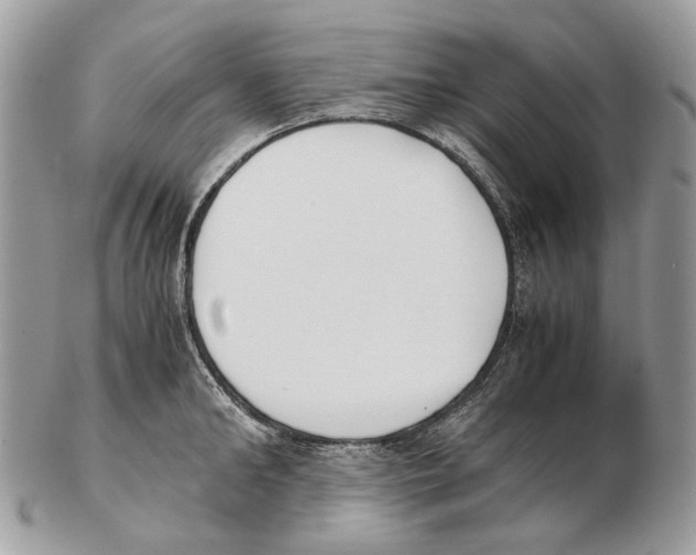 X0000102470902200809051330