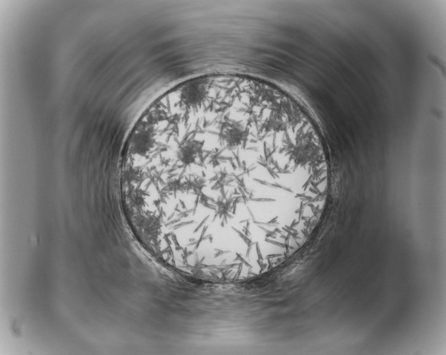X0000102470903200809051330
