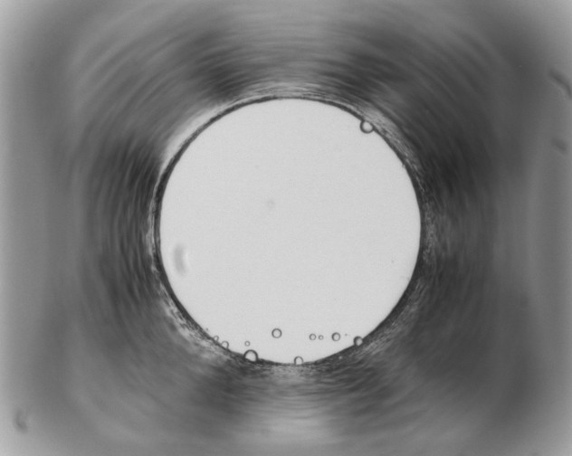 X0000102470904200809051330
