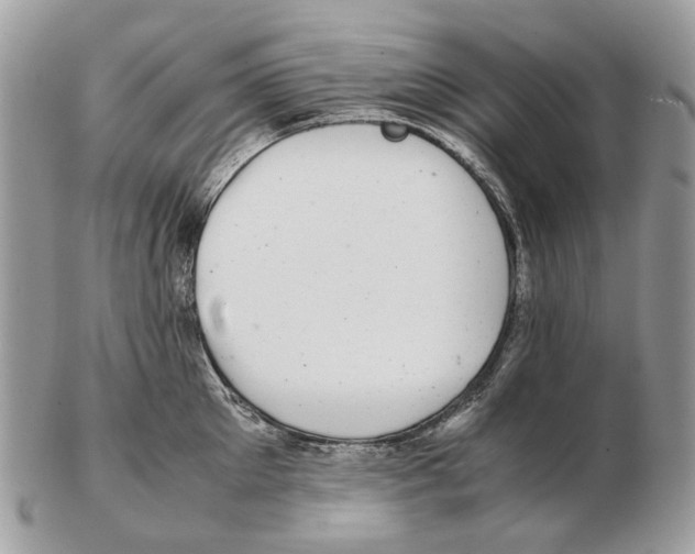 X0000102470905200809051330