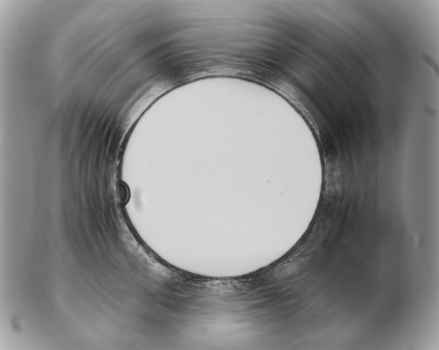 X0000102470906200809051330